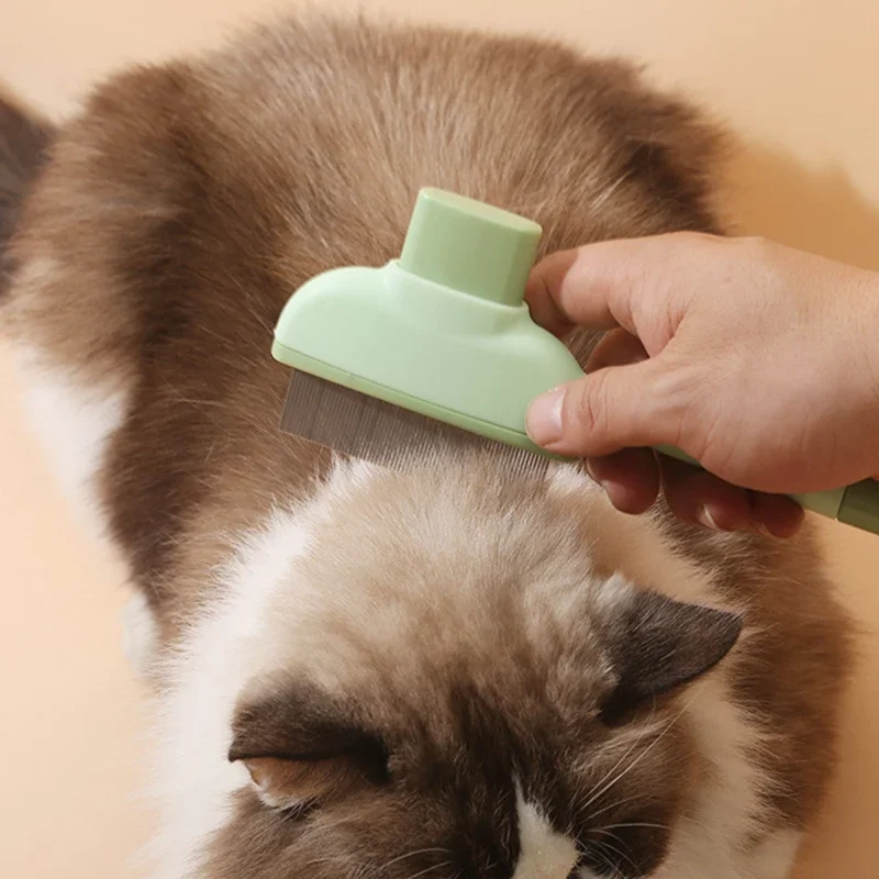 Peigne pour animaux de compagn - Makeup Beauty Ro avis et prix